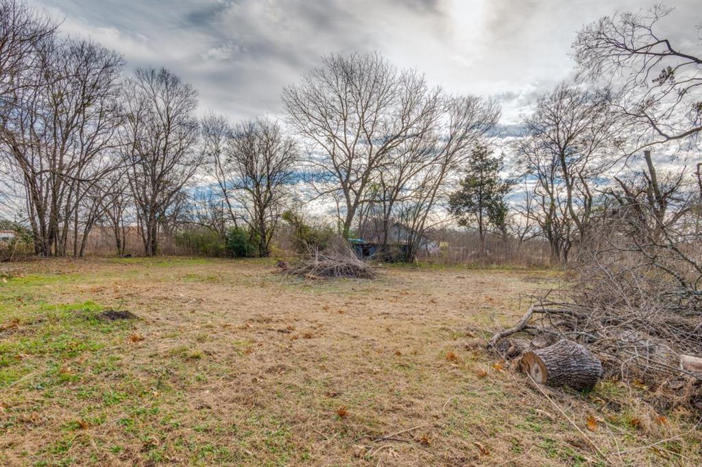 Kemp Original - Land