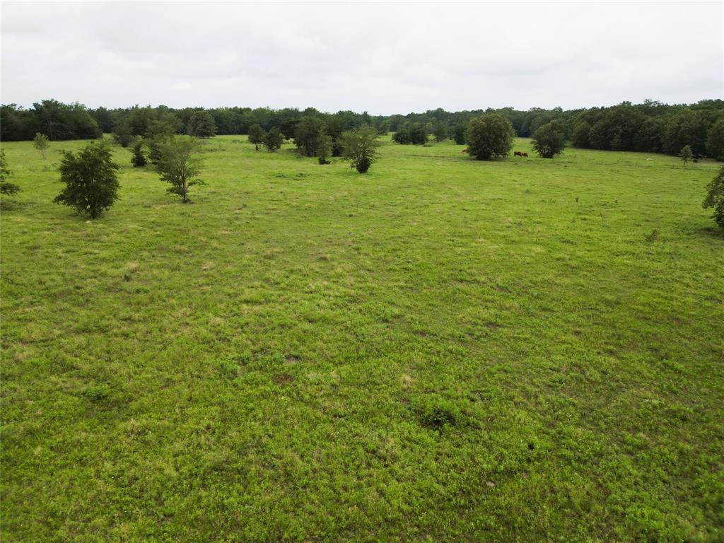 30.213Ac County Road 4766