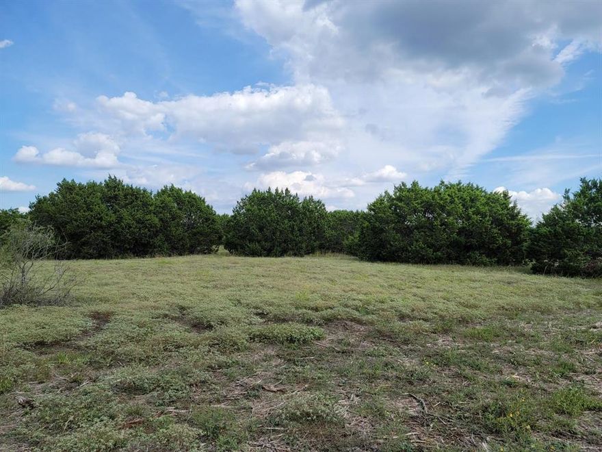 Country Living at its Best!! You wont want to miss this perfect opportunity to own 10 full acres of beautiful Texas Hill Country located in The Ranches at Rock Creek.  This 10 acre lot is located close to the end of a cul-de-sac complete with beautiful trees and wildlife. This lot is a little narrower in the front and wider in the back. The Ranches at Rock Creek is located in Blum TX, less than an hour from Fort Worth. Horses, chickens, and farm animals allowed.