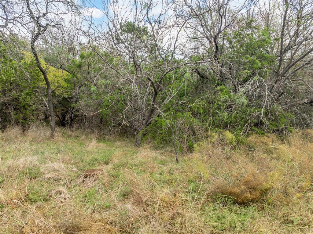 White Bluff #39 - Land