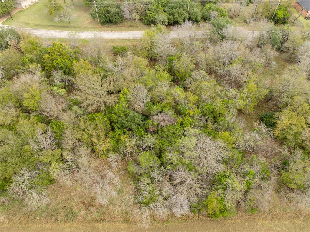 White Bluff #39 - Land