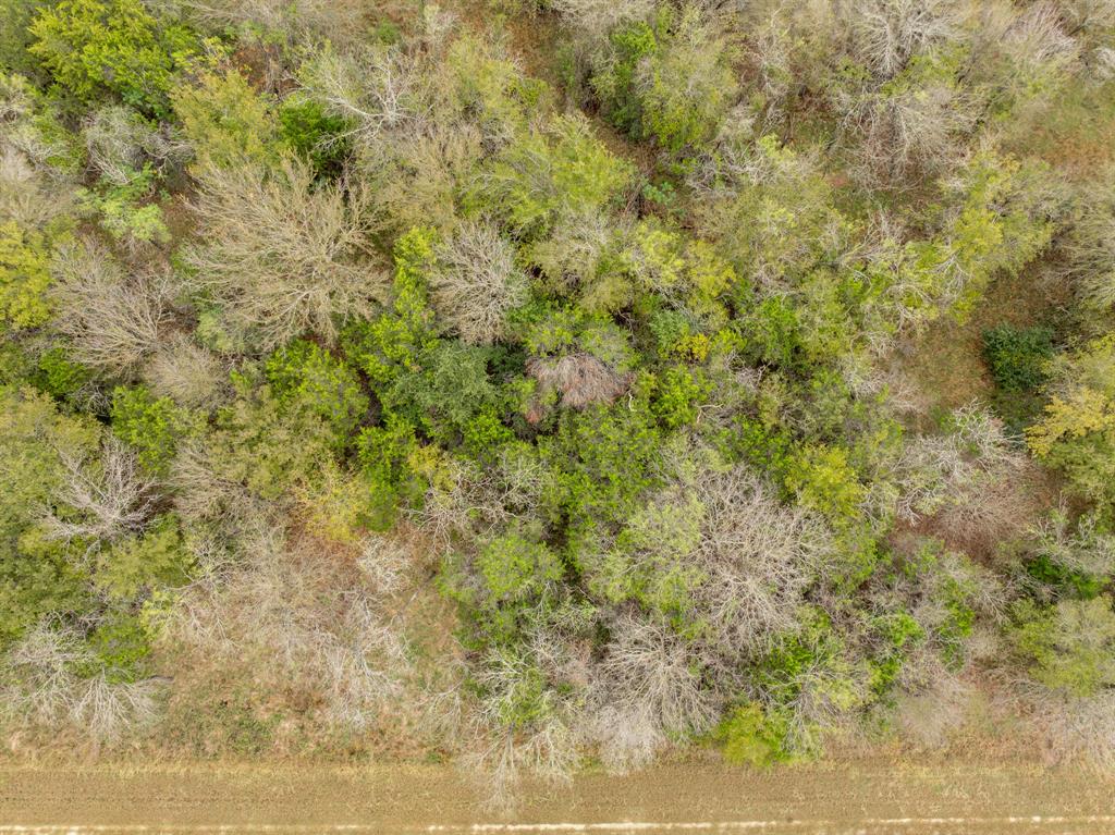 White Bluff #39 - Land