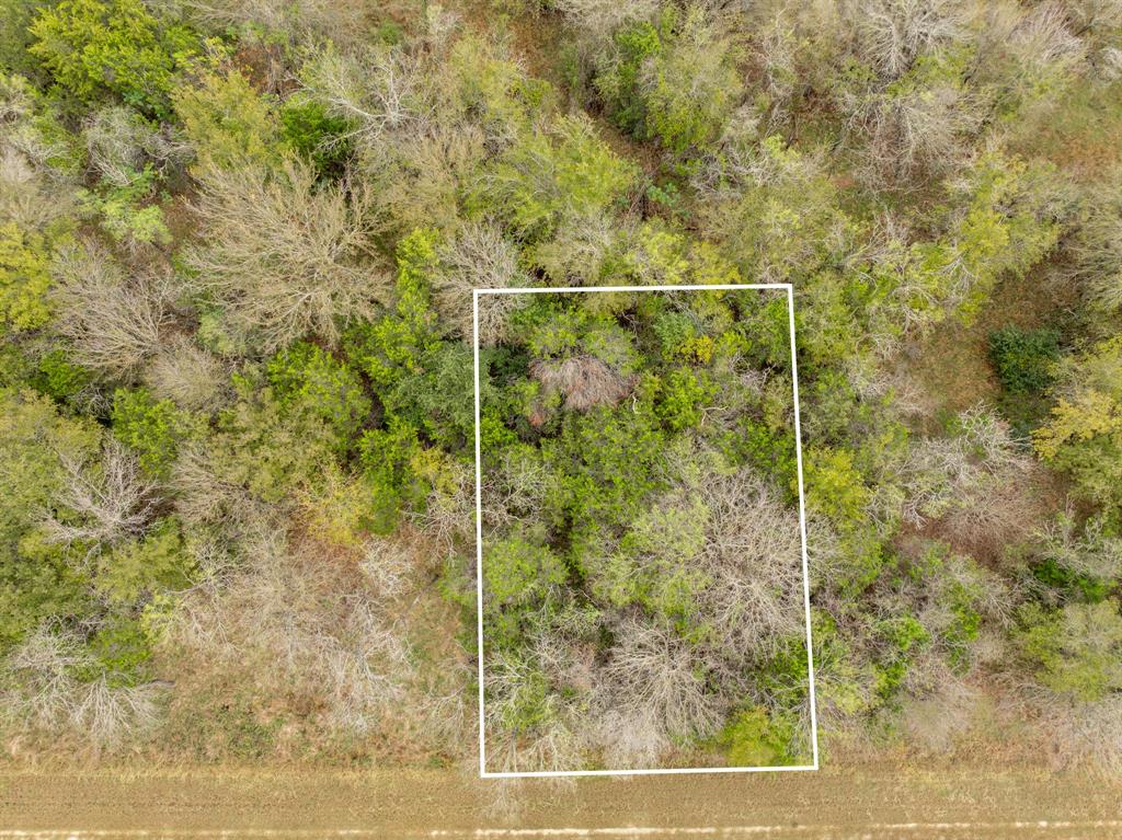 White Bluff #39 - Land