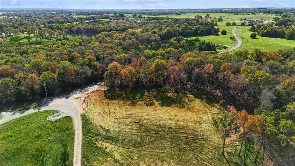 Allison Robert - Farm