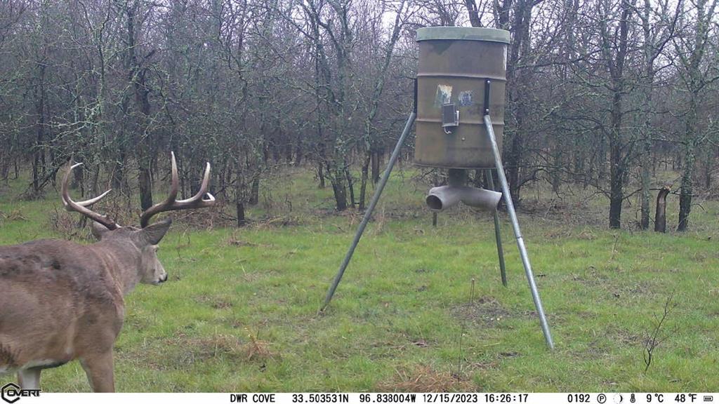 Allison Robert - Farm