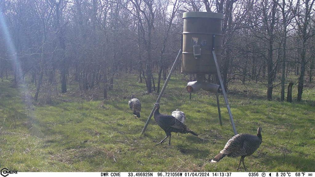 Allison Robert - Farm