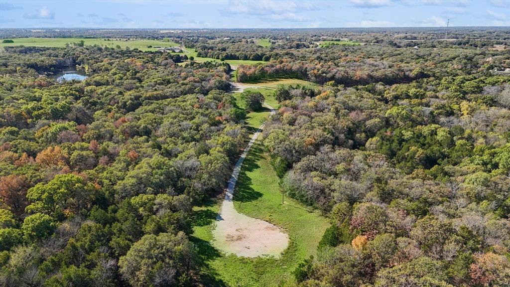 Allison Robert - Farm