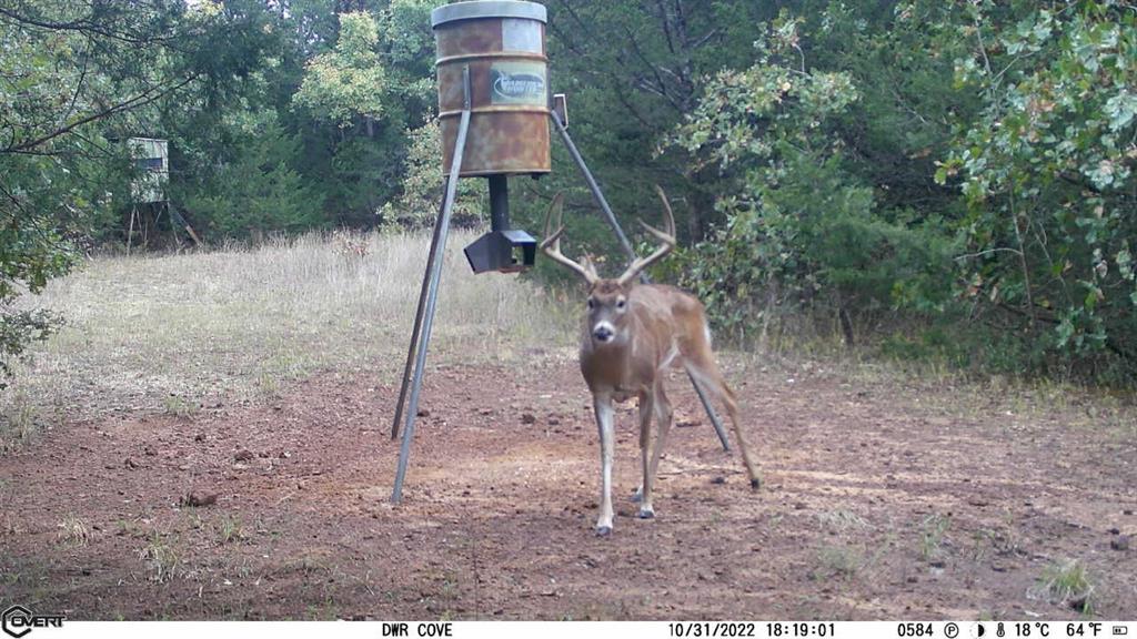 Allison Robert - Farm