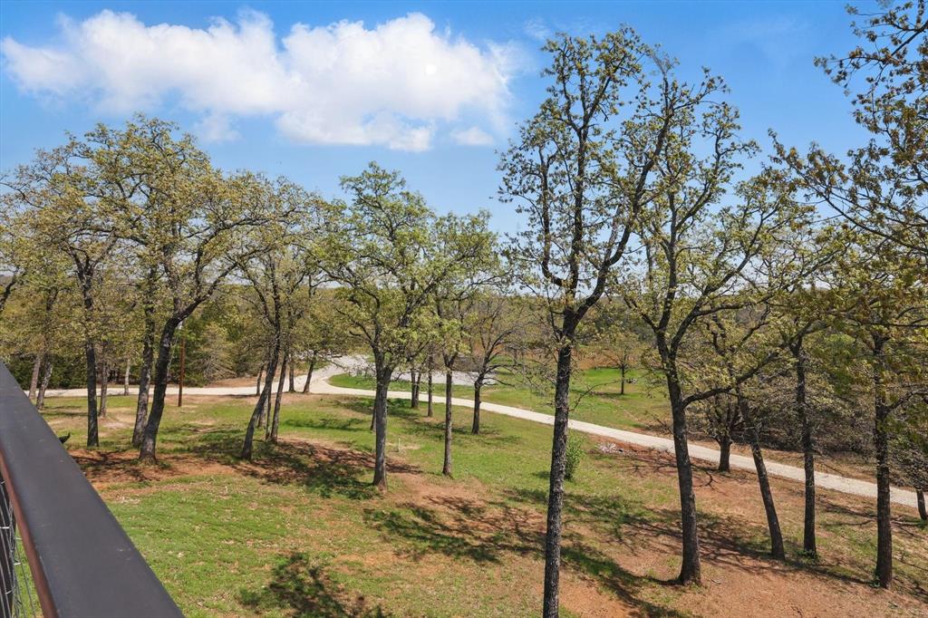 Allison Robert - Farm