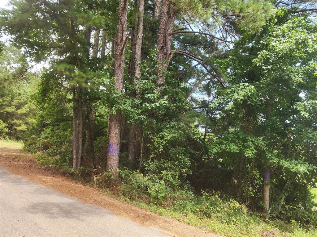 Clear Lakes, Zone 1 - Land