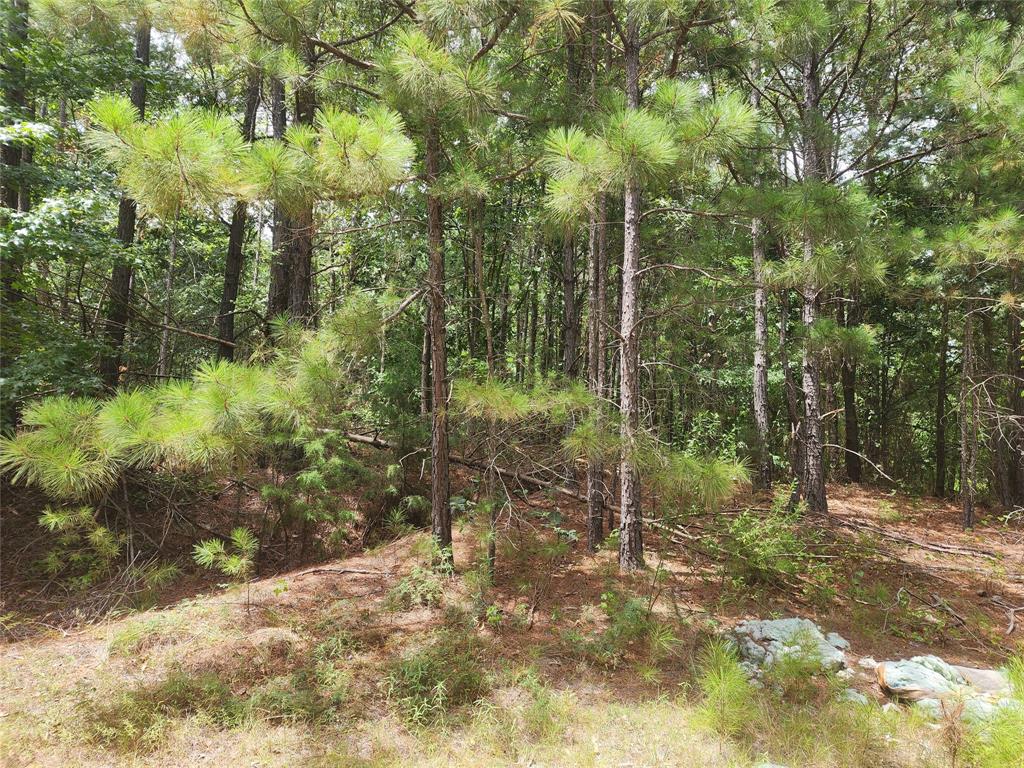 Clear Lakes, Zone 1 - Land