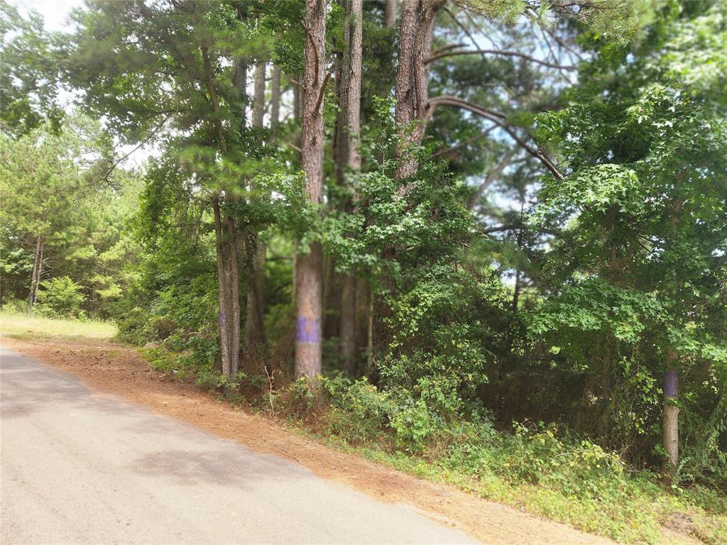 Clear Lakes, Zone 1 - Land