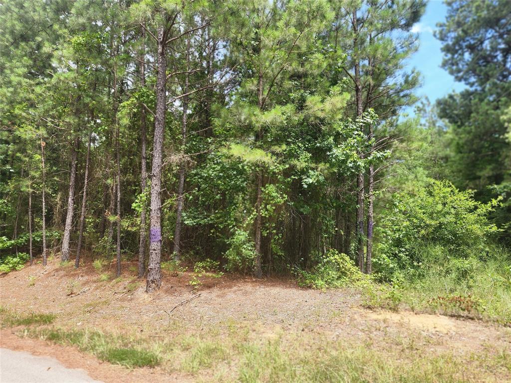 Clear Lakes, Zone 1 - Land