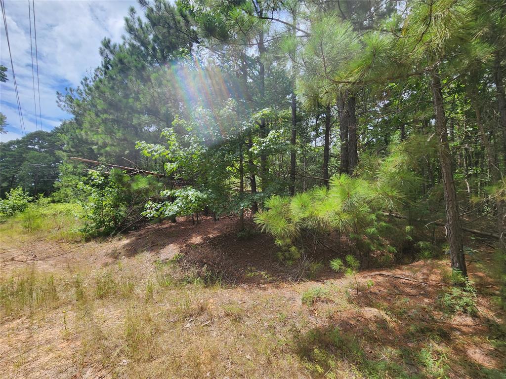 Clear Lakes, Zone 1 - Land