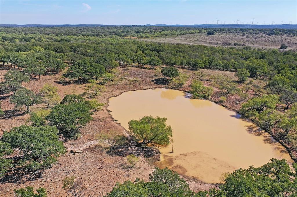 79.72 Acres 114 Highway W