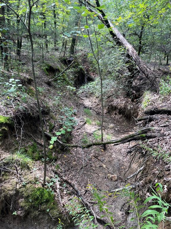 James Jefferies Surf #570 - Land