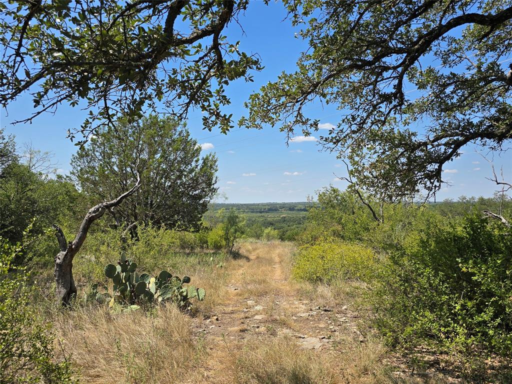 1212 County Road 178