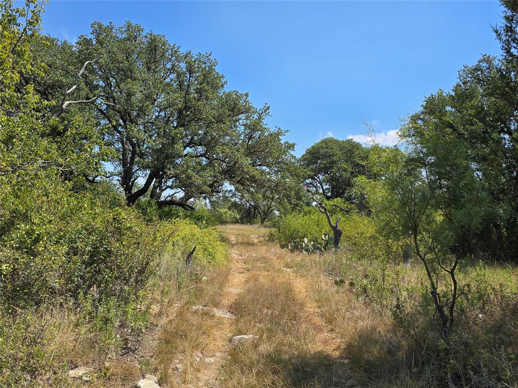 1212 County Road 178