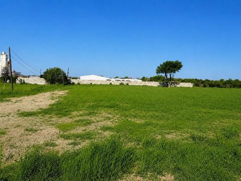 Photo of 6809 Grindstone Court, Arlington, TX 76002 (MLS # 21341799)