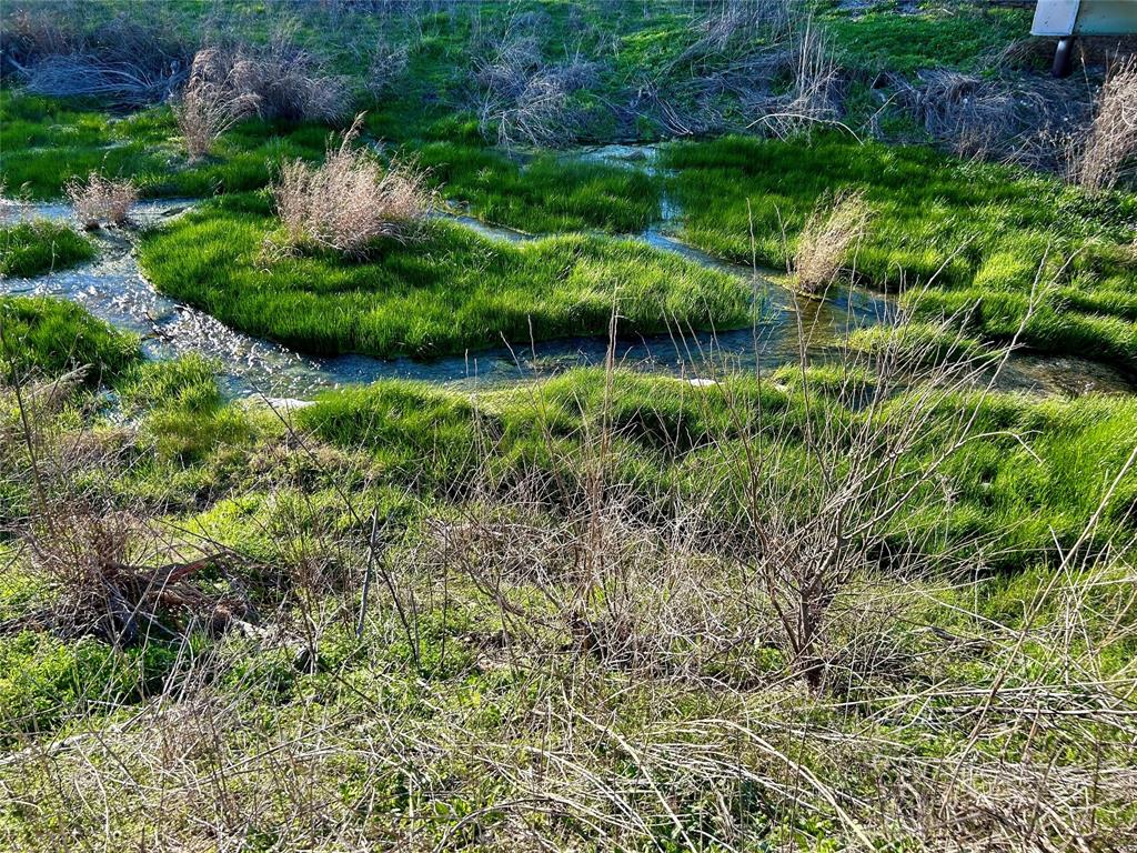 Bear Creek Ranch - Land