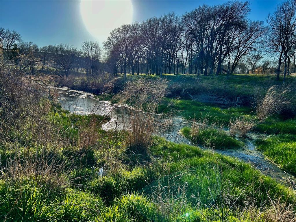 Bear Creek Ranch - Land