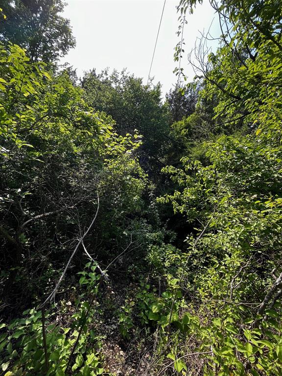 2200 Bear Creek Road