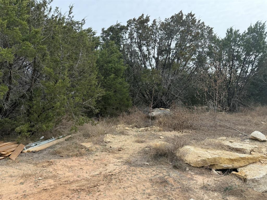 5614 Barkridge Drive