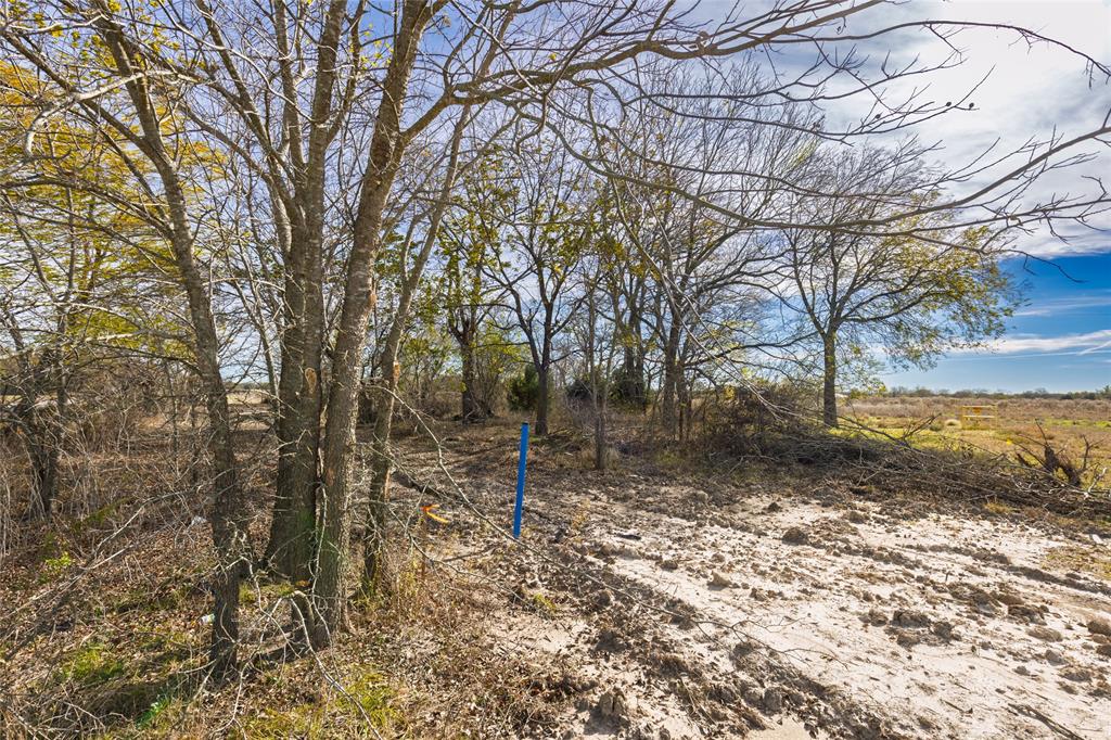 Lot 10 County Road 4609
