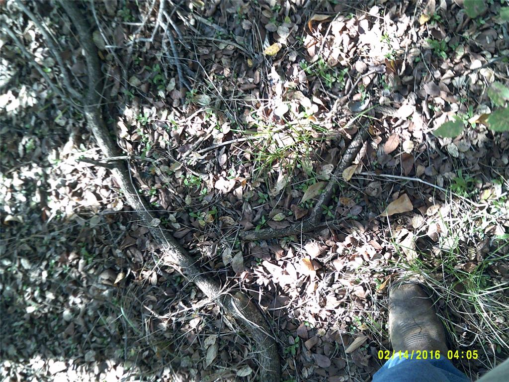 Vista Oaks Estates - Land