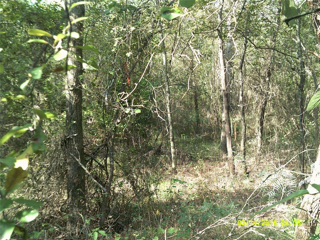 Vista Oaks Estates - Land