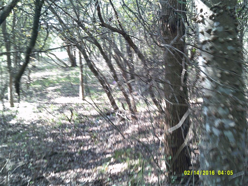 Vista Oaks Estates - Land