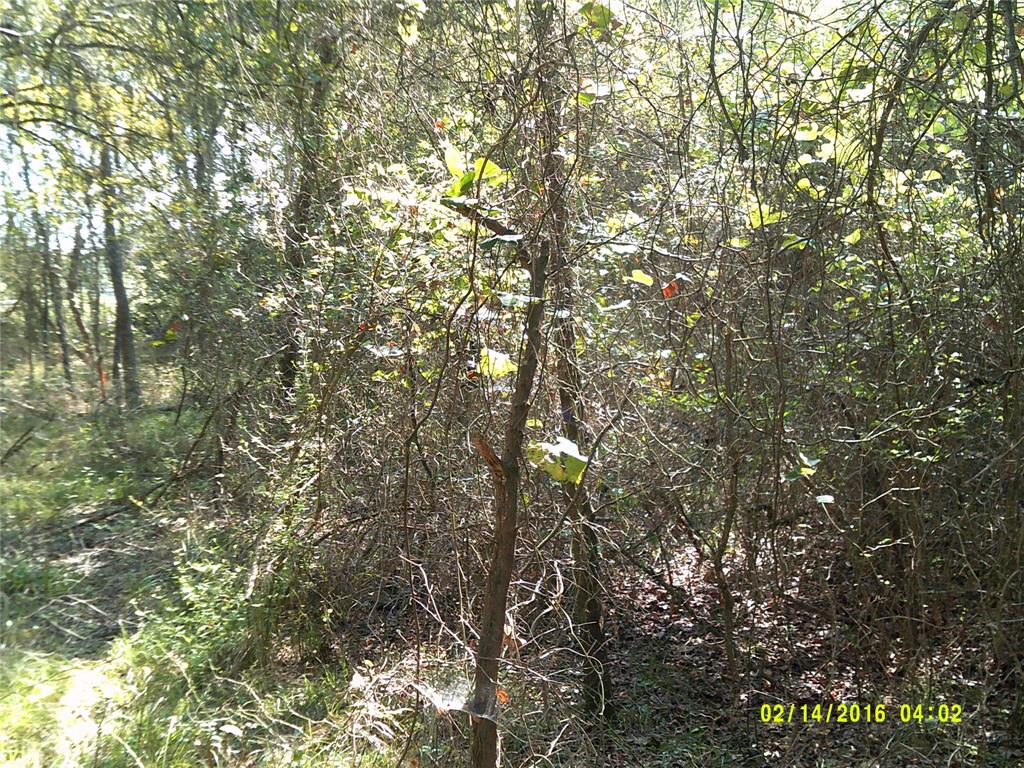 Vista Oaks Estates - Land