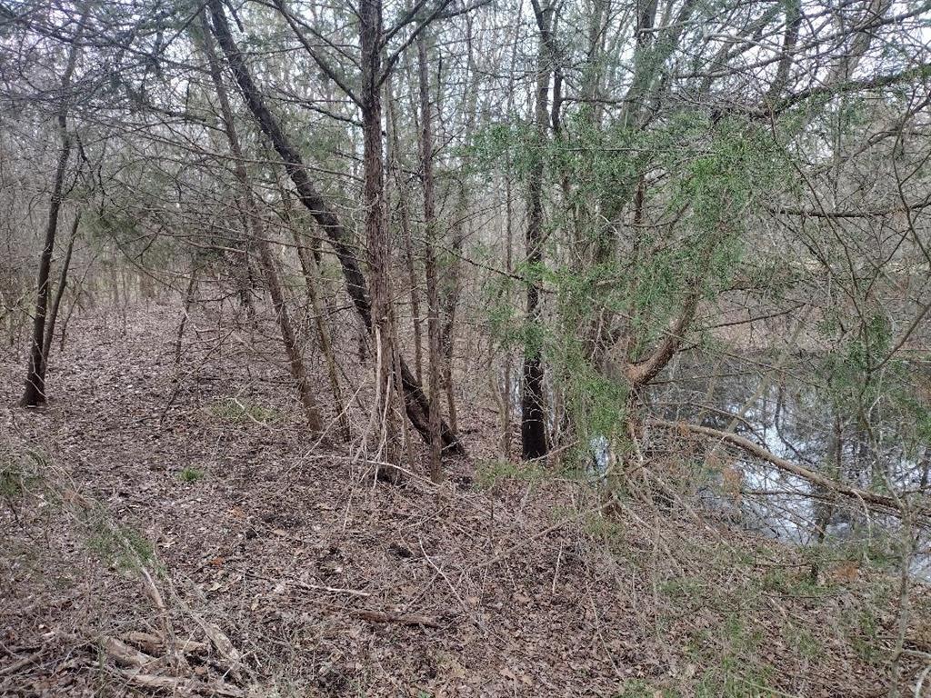 Vista Oaks Estates - Land