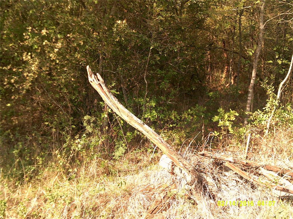 Vista Oaks Estates - Land