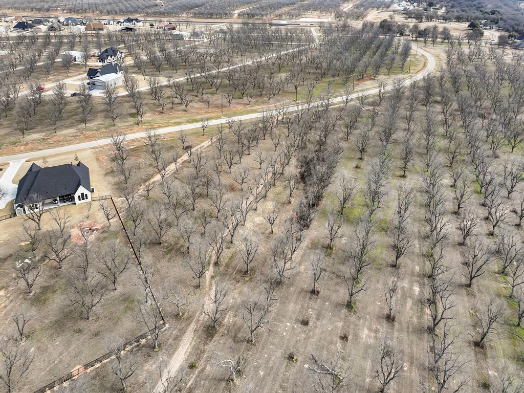 Pecan Plantation-EAST LAKE PHASE 1 - Land
