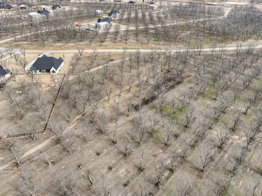Pecan Plantation-EAST LAKE PHASE 1 - Land