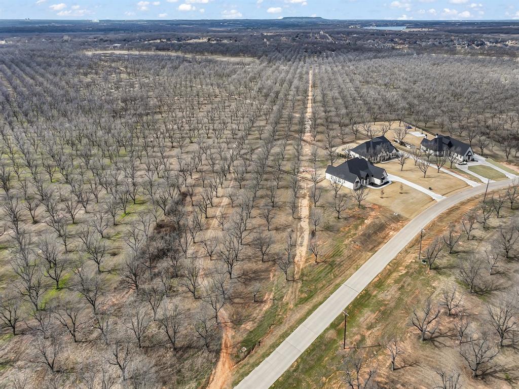 Pecan Plantation-EAST LAKE PHASE 1 - Land