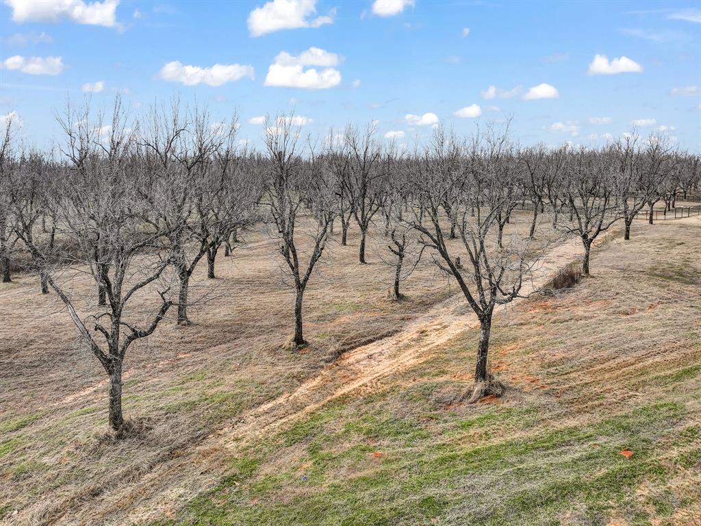 Pecan Plantation-EAST LAKE PHASE 1 - Land
