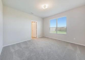 Palmilla Springs - Residential