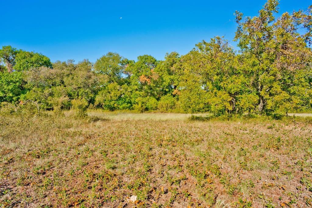 Younger Ranch Estates - Land