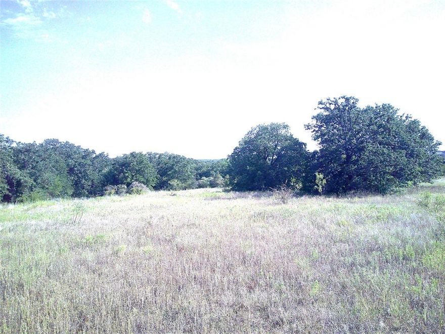 This property has it all!! Beautiful, mature post oak trees. Scenic views, elevation changes , several great building locations overlooking the Texas countryside. This is a very pretty tract of land with plenty of wildlife and character. Come on out and take a short country drive just outside of Springtown with good access. This is part of a 228 acre tract so the possibility of more land to the north. Aerials in pictures of this 53 ac and remaining property to the north. Barndo's ok just no mobiles or mfg homes allowed. Restrictions in transactions, good aerials in pictures.