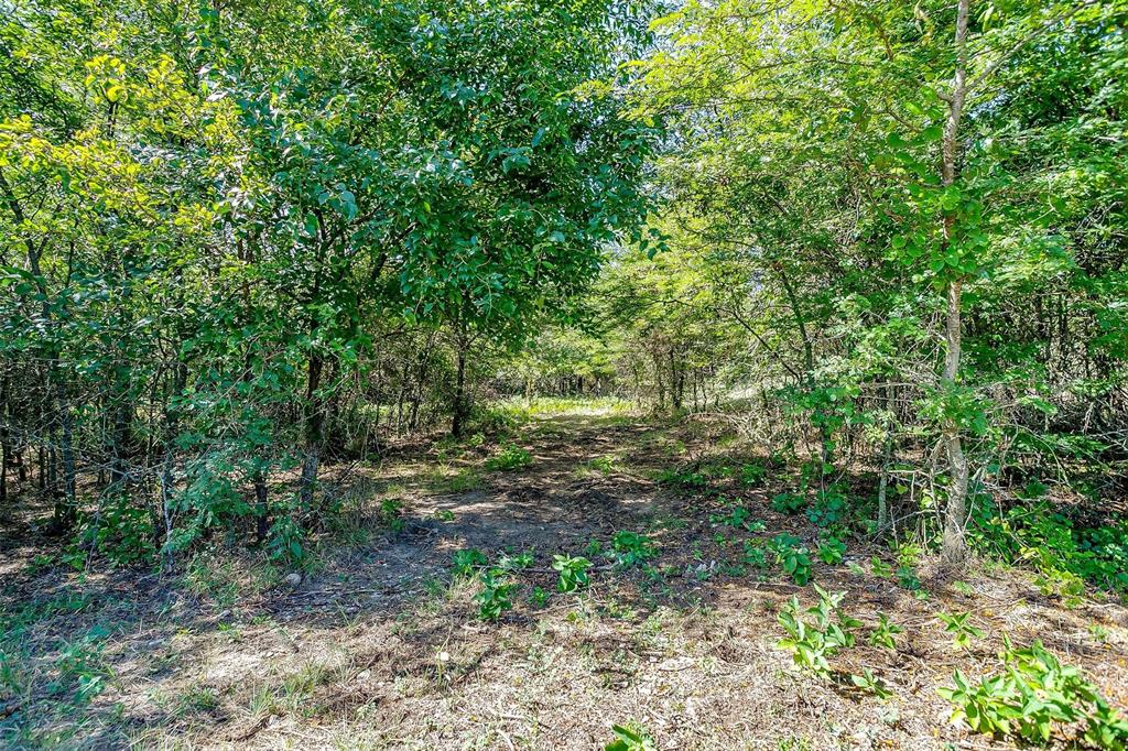 Bbb & C Rr Co - Land