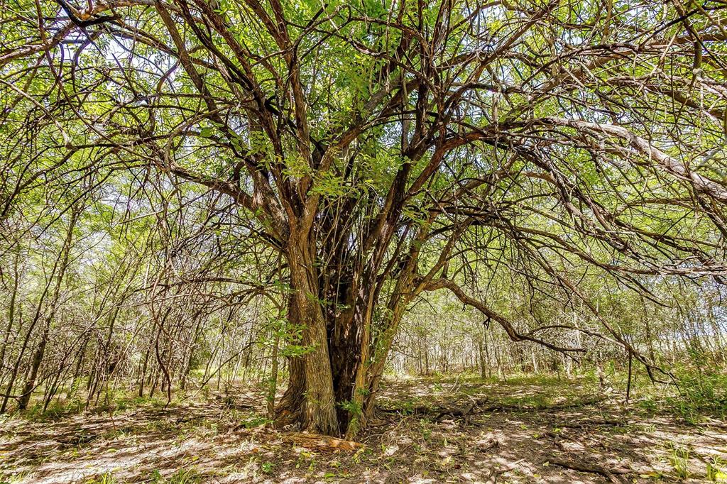 Bbb & C Rr Co - Land