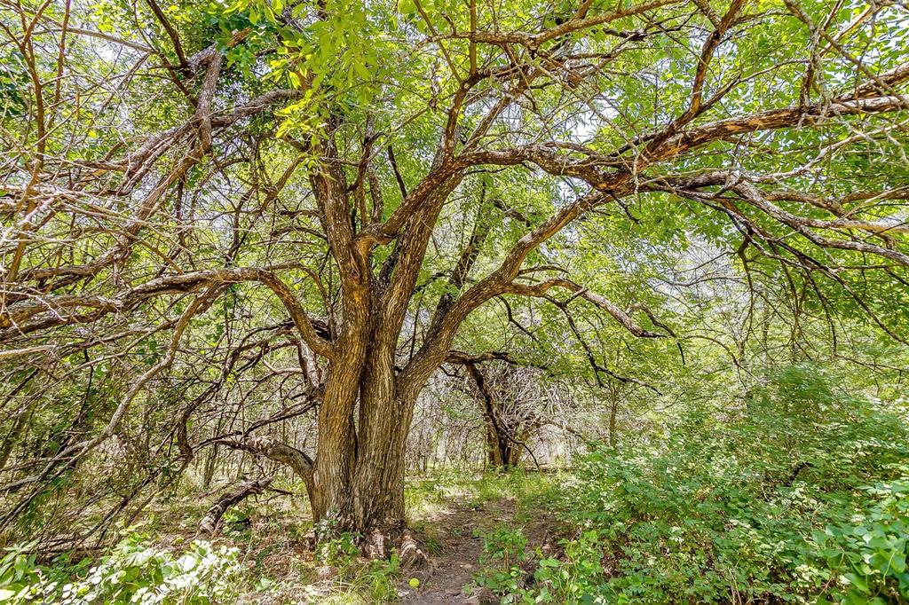 Bbb & C Rr Co - Land