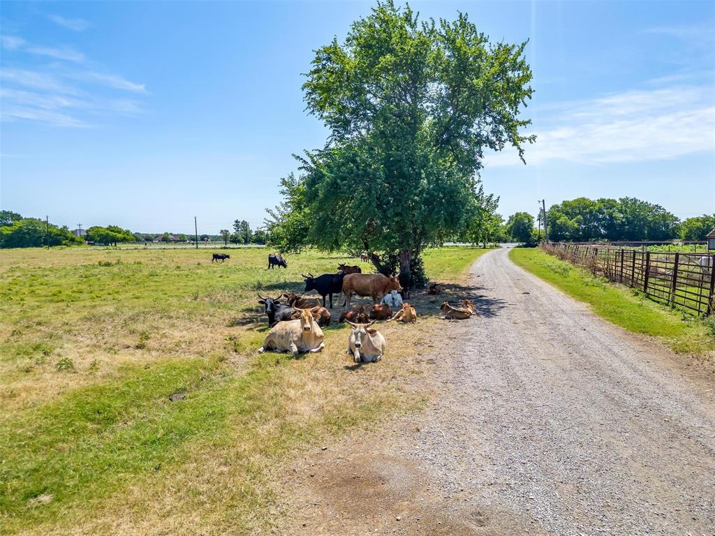 Bbb & C Rr Co - Land