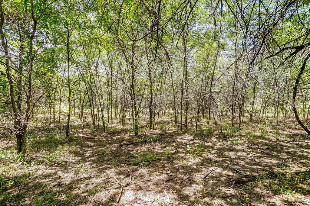 Bbb & C Rr Co - Land