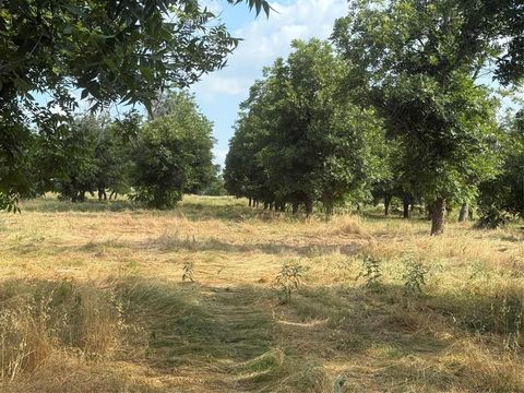 TBD CR 416 Comanche TX 76442
