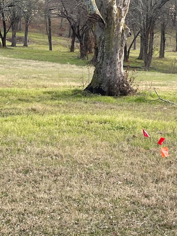 Waters Edge Ranch 82 Ph 01 - Land