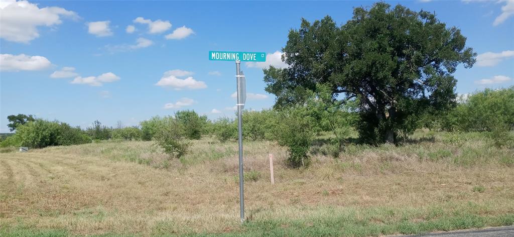 The Hills Above Possum Kingdom - Land