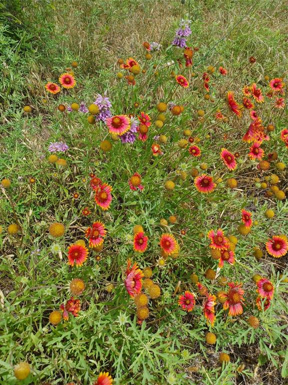 The Hills Above Possum Kingdom - Land